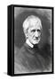 Cardinal Newman-null-Framed Stretched Canvas