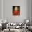 Cardinal Niccol• Albergati-Jan van Eyck-Giclee Print displayed on a wall