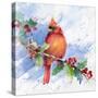 Cardinal on Holly Branch-Lanie Loreth-Stretched Canvas