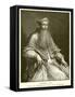 Cardinal Pole-null-Framed Stretched Canvas