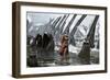 Cardinal Richelieu at the Siege of La Rochelle, 1628-Henri Paul Motte-Framed Giclee Print