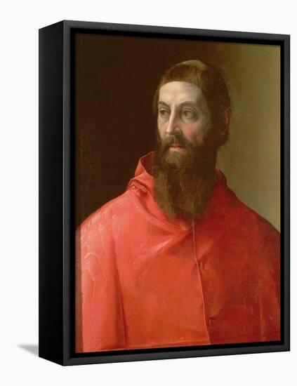 Cardinal Rudolfo Pio, Bishop of Faenza (C.1500-64), 1528-Francesco De Rossi Salviati Cecchino-Framed Stretched Canvas