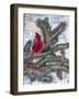 Cardinal Rule-Lauren Moss-Framed Giclee Print
