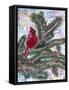Cardinal Rule-Lauren Moss-Framed Stretched Canvas