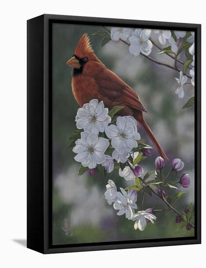 Cardinal Spring Blossoms-Jeffrey Hoff-Framed Stretched Canvas