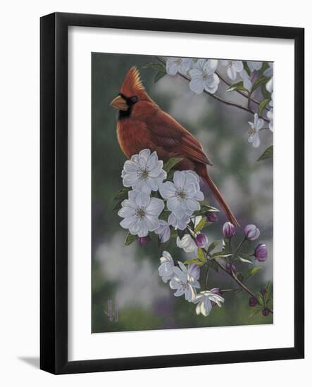 Cardinal Spring Blossoms-Jeffrey Hoff-Framed Photographic Print