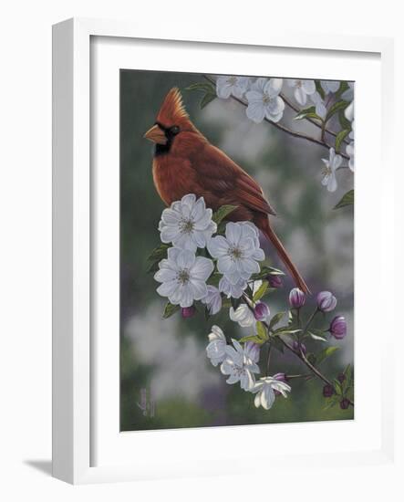 Cardinal Spring Blossoms-Jeffrey Hoff-Framed Photographic Print