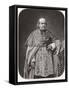 Cardinal Thomas-null-Framed Stretched Canvas