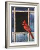'Cardinal Window' Poster - Chris Vest | AllPosters.com