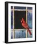 Cardinal Window-Chris Vest-Framed Art Print