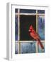 Cardinal Window-Chris Vest-Framed Art Print