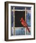 Cardinal Window-Chris Vest-Framed Art Print