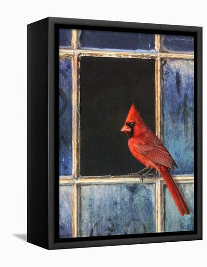 Cardinal Window-Chris Vest-Framed Stretched Canvas