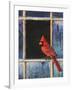 Cardinal Window-Chris Vest-Framed Art Print