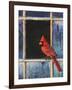 Cardinal Window-Chris Vest-Framed Art Print