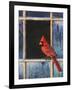 Cardinal Window-Chris Vest-Framed Art Print