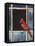 Cardinal Window-Chris Vest-Framed Stretched Canvas