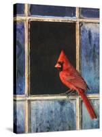 Cardinal Window-Chris Vest-Stretched Canvas