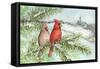 Cardinal Winter-Melinda Hipsher-Framed Stretched Canvas