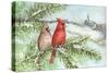 Cardinal Winter-Melinda Hipsher-Stretched Canvas