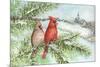 Cardinal Winter-Melinda Hipsher-Mounted Giclee Print