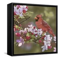 Cardinal with Apple Blossoms-William Vanderdasson-Framed Stretched Canvas