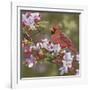 Cardinal with Apple Blossoms-William Vanderdasson-Framed Giclee Print