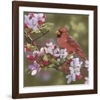 Cardinal with Apple Blossoms-William Vanderdasson-Framed Giclee Print