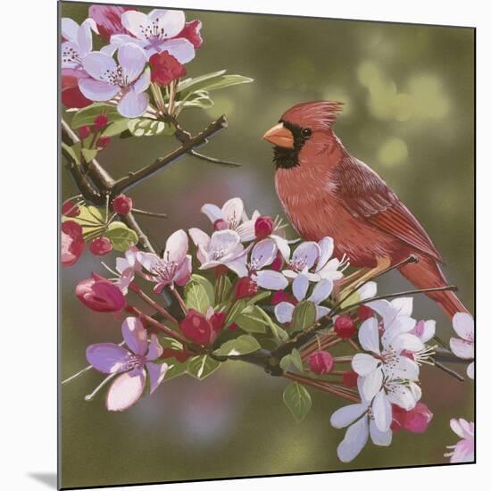 Cardinal with Apple Blossoms-William Vanderdasson-Mounted Giclee Print