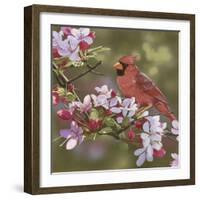 Cardinal with Apple Blossoms-William Vanderdasson-Framed Giclee Print