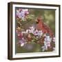 Cardinal with Apple Blossoms-William Vanderdasson-Framed Giclee Print