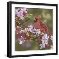 Cardinal with Apple Blossoms-William Vanderdasson-Framed Giclee Print