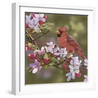 Cardinal with Apple Blossoms-William Vanderdasson-Framed Giclee Print