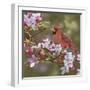 Cardinal with Apple Blossoms-William Vanderdasson-Framed Giclee Print