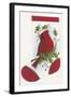 Cardinal with Holly Stocking-Beverly Johnston-Framed Giclee Print