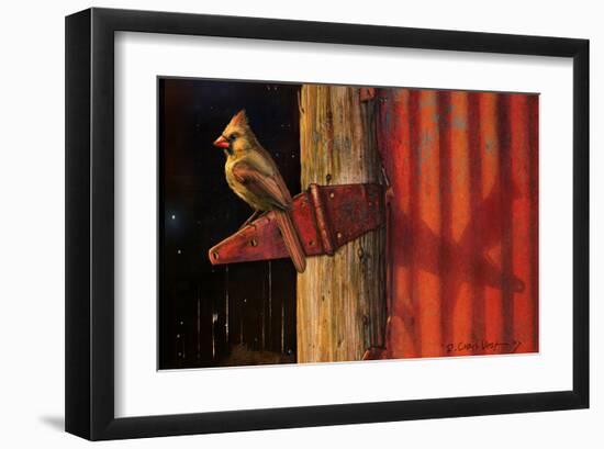 Cardinal-Chris Vest-Framed Art Print