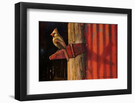 Cardinal-Chris Vest-Framed Art Print