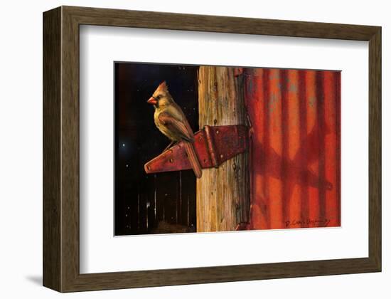 Cardinal-Chris Vest-Framed Art Print