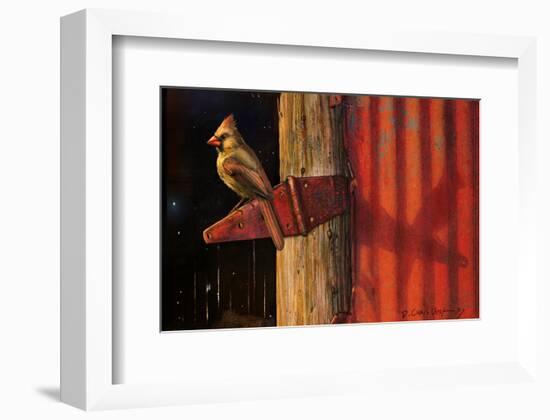 Cardinal-Chris Vest-Framed Art Print