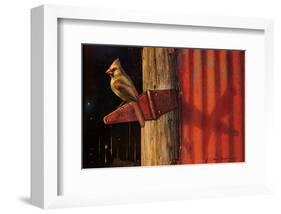 Cardinal-Chris Vest-Framed Art Print