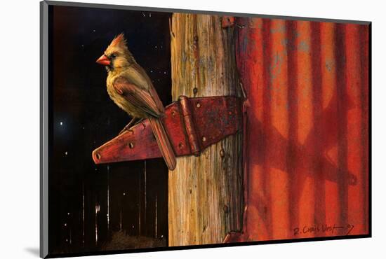 Cardinal-Chris Vest-Mounted Art Print