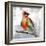 Cardinal-Stephane Fontaine-Framed Giclee Print