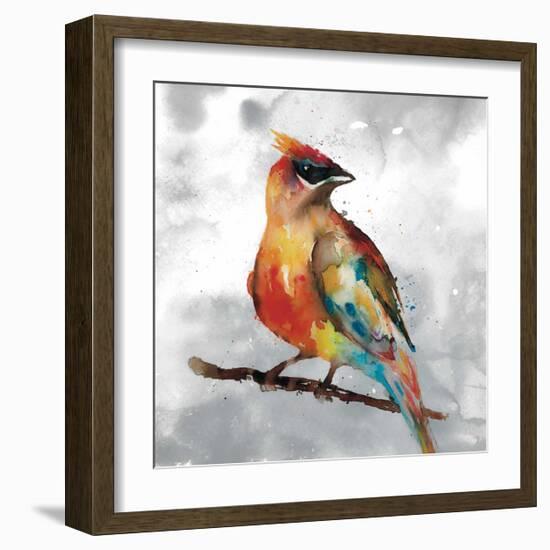 Cardinal-Stephane Fontaine-Framed Giclee Print