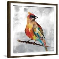 Cardinal-Stephane Fontaine-Framed Giclee Print