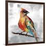 Cardinal-Stephane Fontaine-Framed Giclee Print