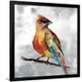 Cardinal-Stephane Fontaine-Framed Giclee Print