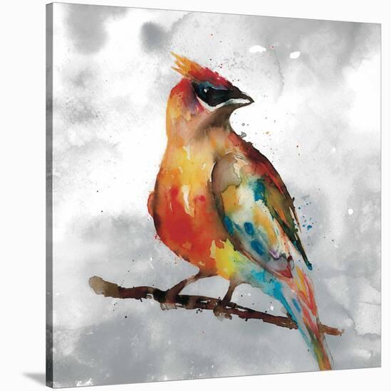 Cardinal-Stephane Fontaine-Stretched Canvas