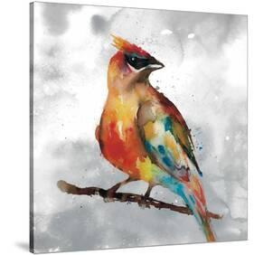 Cardinal-Stephane Fontaine-Stretched Canvas