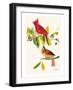 Cardinal-John James Audubon-Framed Art Print