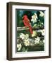 Cardinal-William Vanderdasson-Framed Giclee Print